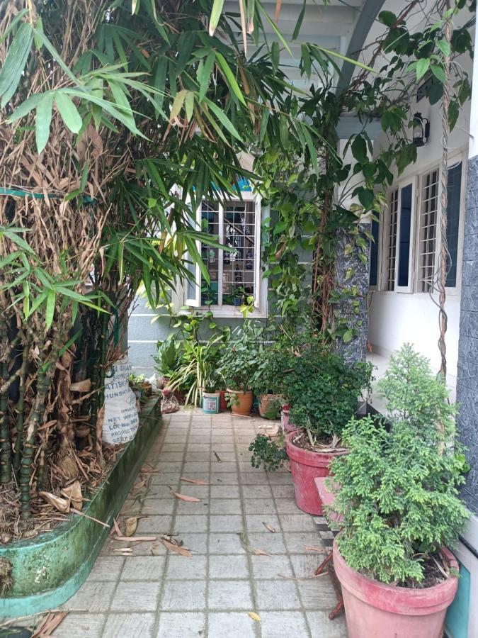 Nest Apartment Kochi Ngoại thất bức ảnh