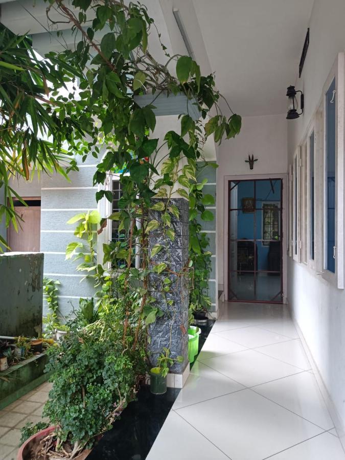 Nest Apartment Kochi Ngoại thất bức ảnh